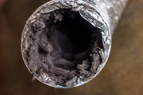 Air Duct Mold Removal in Loving, NM